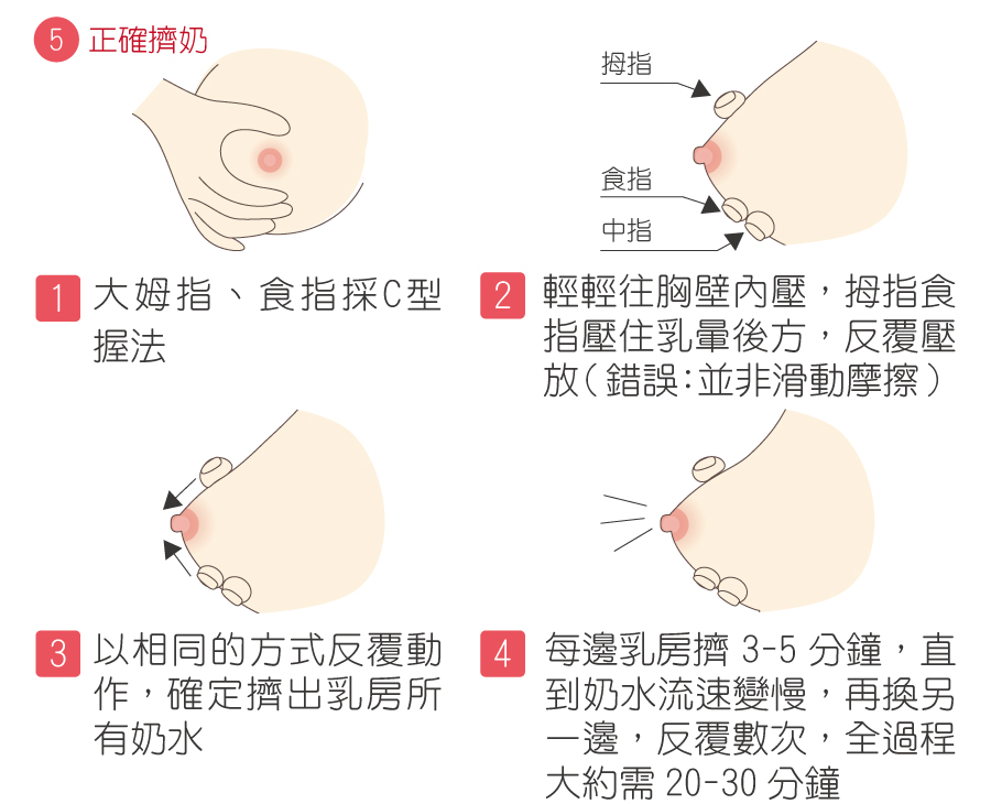 5.正確擠奶