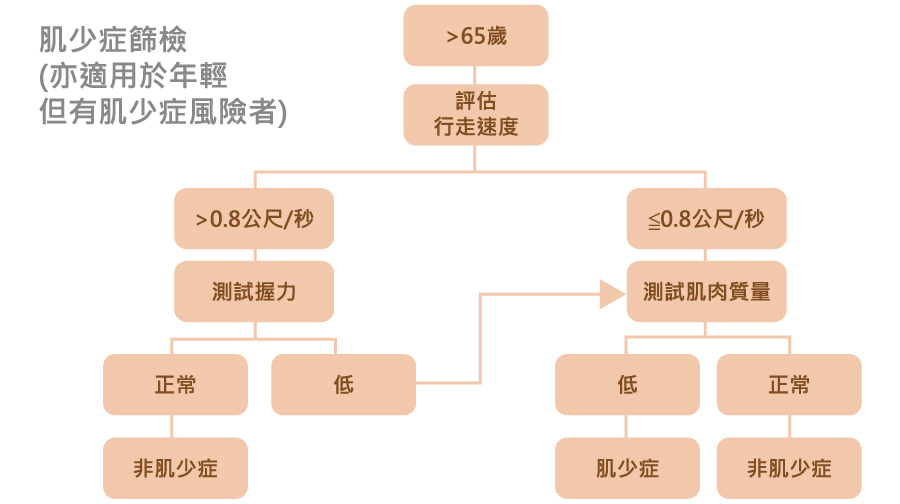 肌少篩檢-4肌少症篩檢