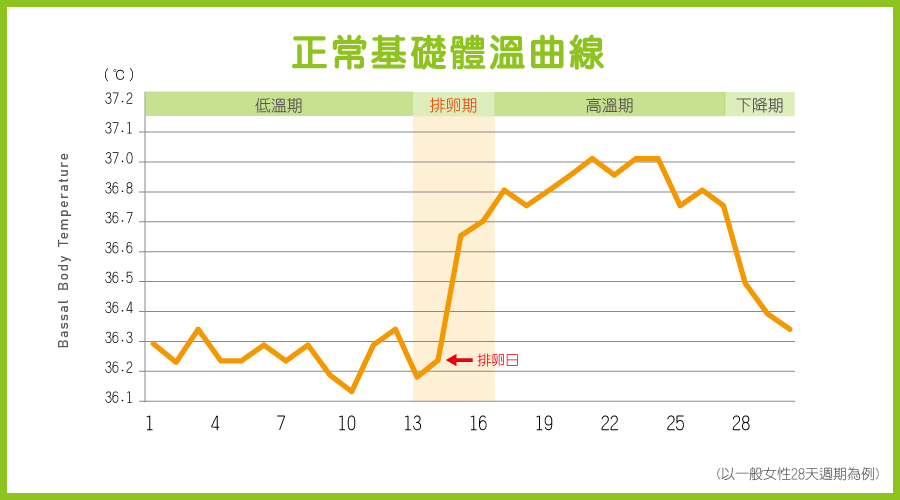 基礎體溫曲線