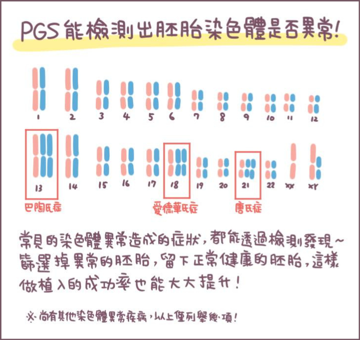 PGTA-2/不死兔圖文授權