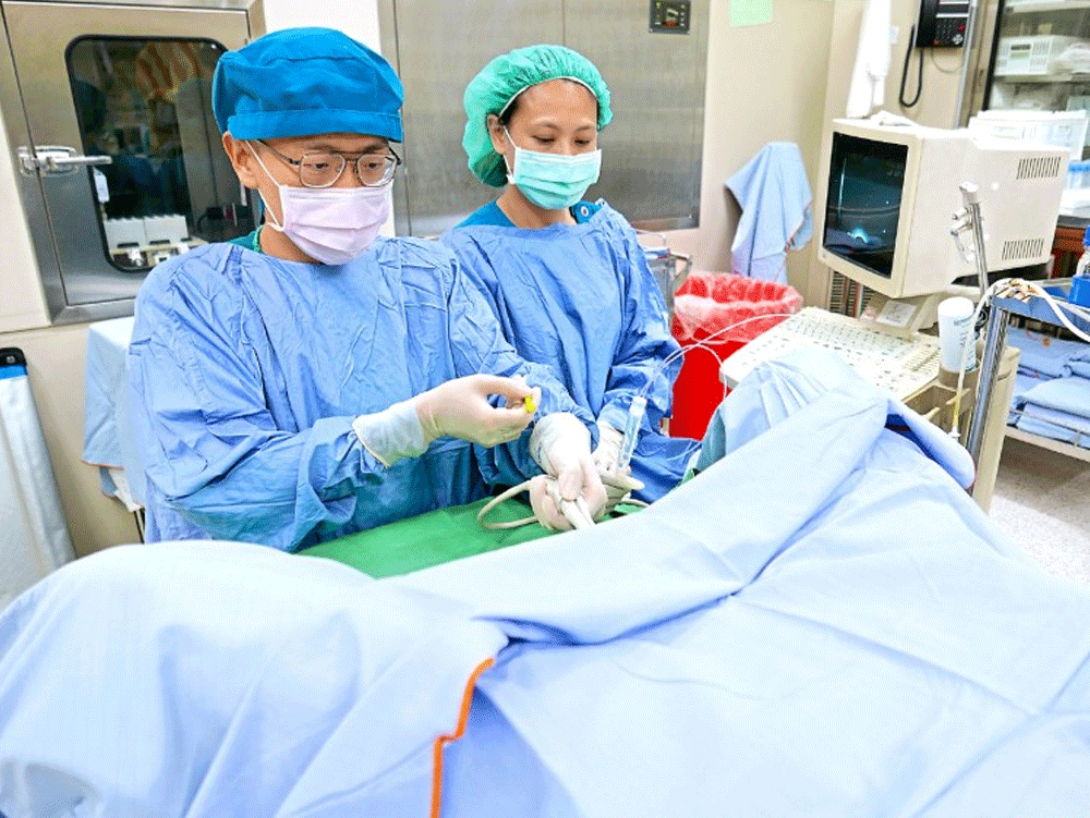 凍卵年輕化 5年增7倍、解凍僅1成