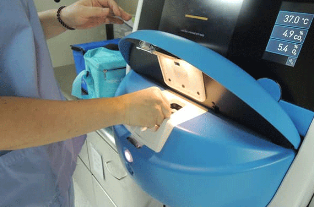 汪用和不孕心酸史 名醫建議凍卵保生機