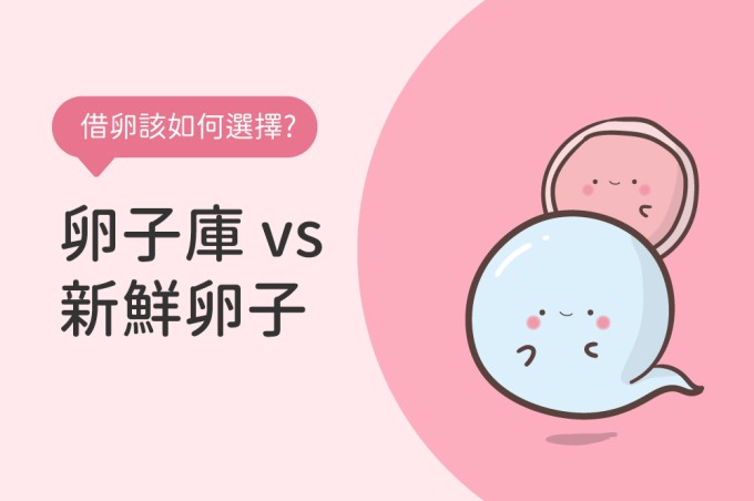 借卵該如何選擇? 卵子庫vs新鮮卵子