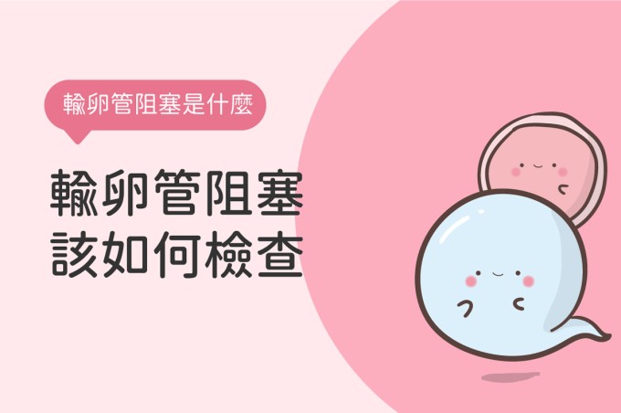 什麼是輸卵管阻塞？該如何檢查輸卵管？
